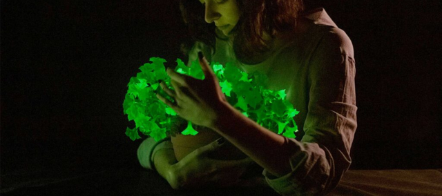 woman holding flowing firefly petunias