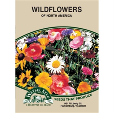 american wildflower seeds Wetsel Seed Wildflowers Glo-Coat Brand® North American Mix - Charles, IL
