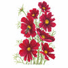Botanical Interests Rubenza Cosmos Seeds