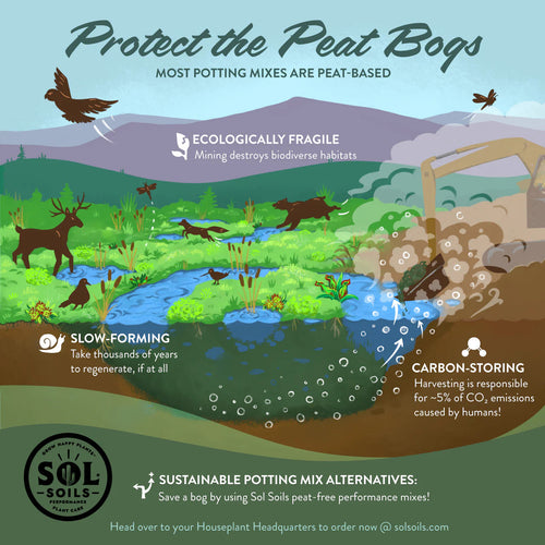 Sol Soils Houseplant Chunky Mix