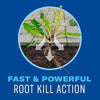 BioAdvanced Weed & Grass Killer Ready-to-Use
