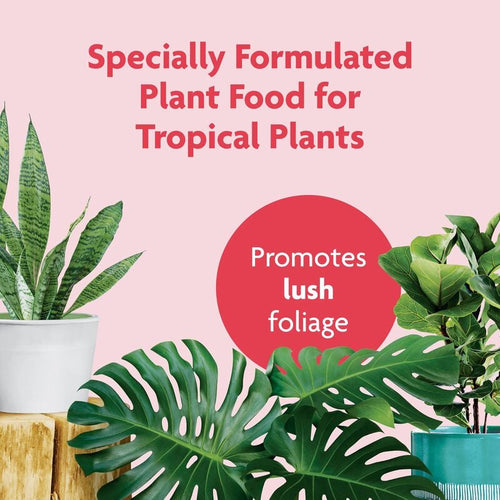 tropical house plant food Miracle-Gro® Tropical Houseplant Food - Charles, IL