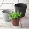 Novelty Dolce Round Planter