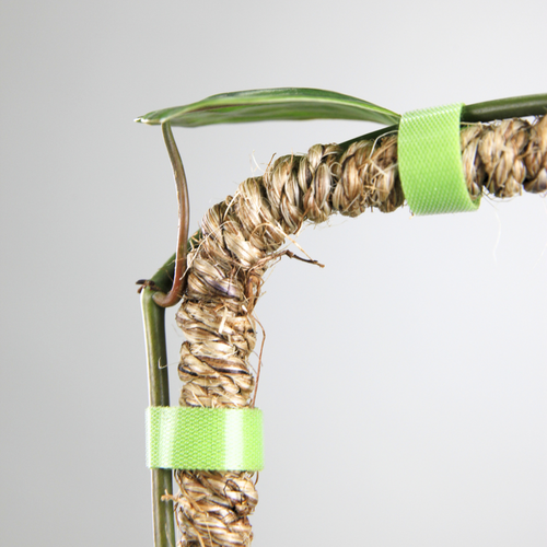 Mossify The Original Bendable Coir Pole™
