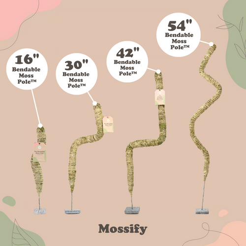 Mossify The Original Bendable Moss Pole™