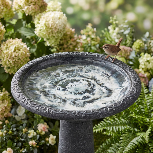 ALGREEN  20 Accerra Gray Birdbath
