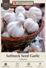 Netherland Bulb California Softneck Seed Garlic Bulbs