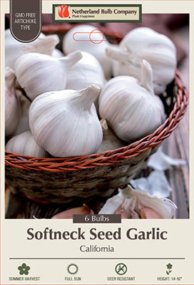 Netherland Bulb California Softneck Seed Garlic Bulbs