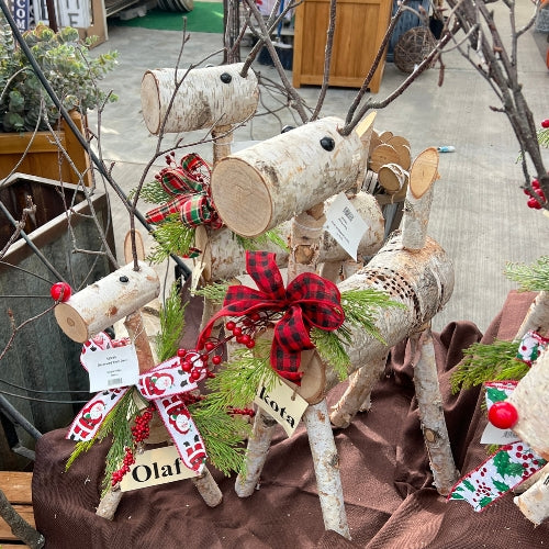 birch reindeer 