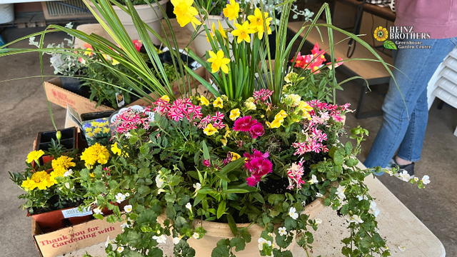 spring container planted with perennial and annual flowers spring flowers 