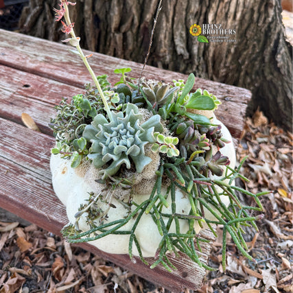 october workshops