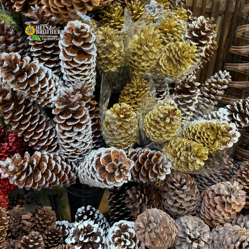 Assorted pinecones, natural, painted and with red, silver or gold glitter and heinz brother greenhouse garden center logo