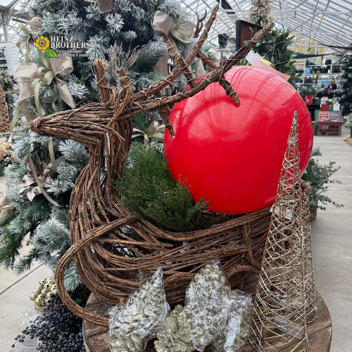 Decorative rattan deer sled planter with large blow up holiball ornament  in a store setting at heinz brother greenhouse gardencenter