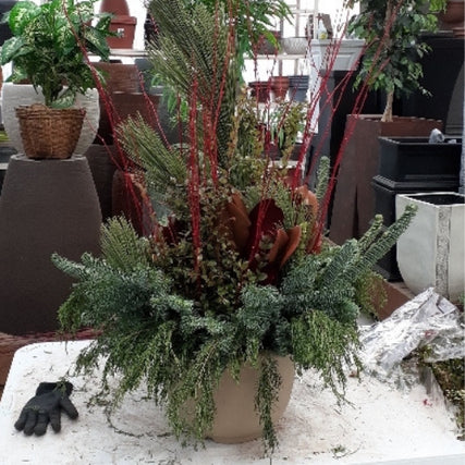 november workshopswinter container design with fresh cut greenery, magnolia leaves, red twigs, red huck, junper,balsam and frasier fir