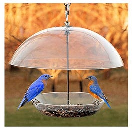 Dome Top Seed & Bluebird Feeder, 11-3/4 Inch