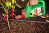 Miracle-Gro® Shake 'n Feed® Tomato, Fruit & Vegetable Plant Food