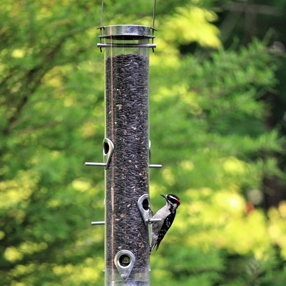 Droll Yankees® Classic B-Series Silver Sunflower Bird Feeder, 2.5 lb. capacity, 20 in.